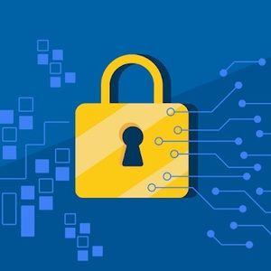 Meet your Posher, Nikhat